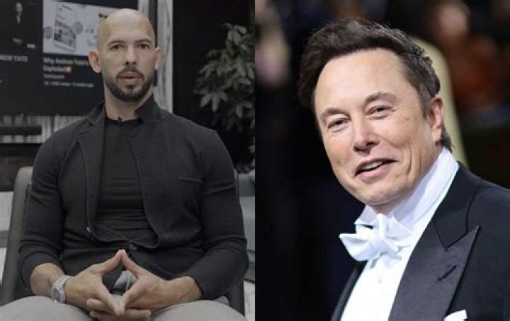 Why did Elon Musk roast Andrew Tate recently?