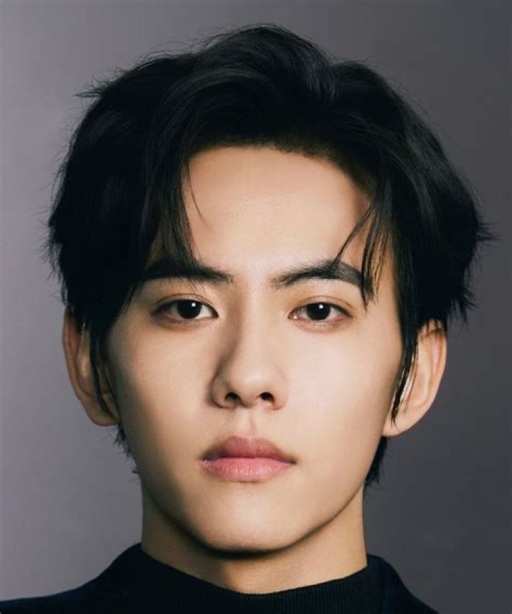 
Zhang Shuai Height, Weight, Net Worth, Age, Birthday, Wikipedia, Who, Instagram, Biography 